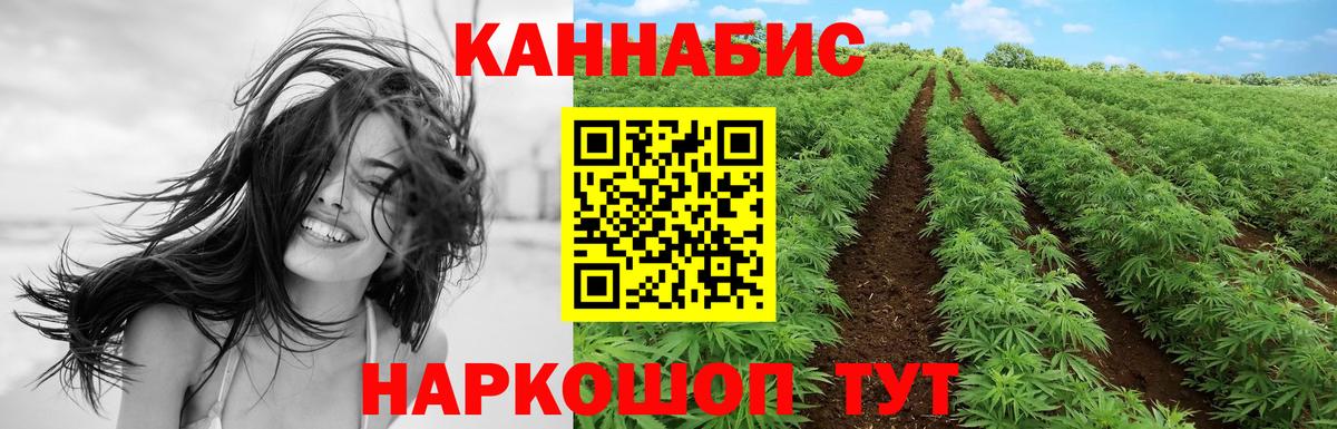 Конопля сатива Саяногорск